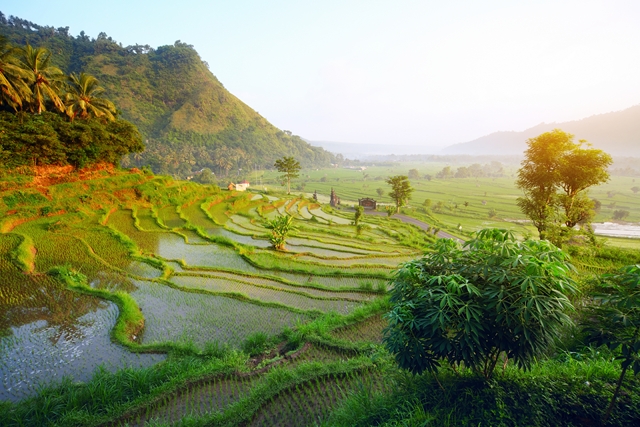 Splendeurs de Bali 10J/7N - 2020