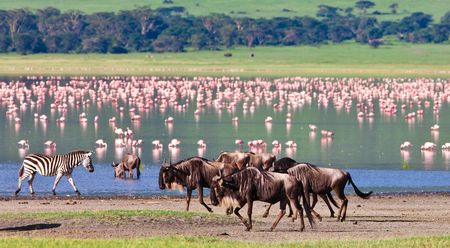 Splendeurs de Tanzanie 10J/07N - 2019
