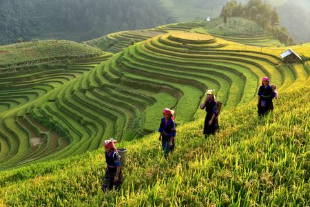 Merveilles du Vietnam & extension Cambodge 17J/14N - 2019