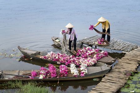 Splendeurs du Vietnam 12J/9N - 2020