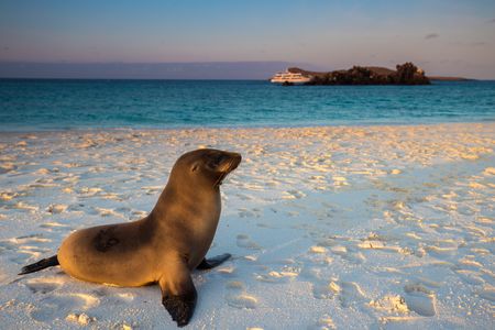 Splendeurs de l'Equateur & Extension Galapagos Croisière 17J/15N - 2019