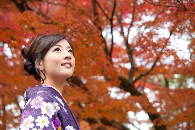 Splendeurs du Japon sans transport 8N - 2019