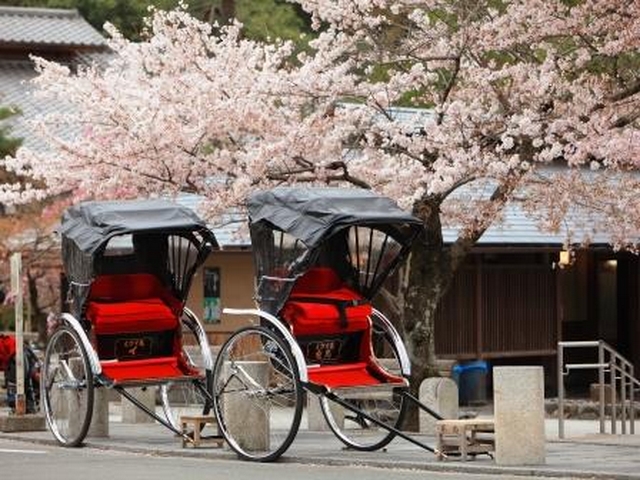 Merveilles du Japon 11J/10N - Sans transport