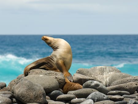 Splendeurs de l'Equateur & Extension Galapagos Croisière 17J/15N - 2020
