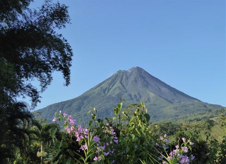 Splendeurs du Costa Rica & extension Playa Tambor 13J/11N - 2020