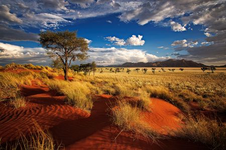 Splendeurs de Namibie & extension Fish River Canyon 14J/11N