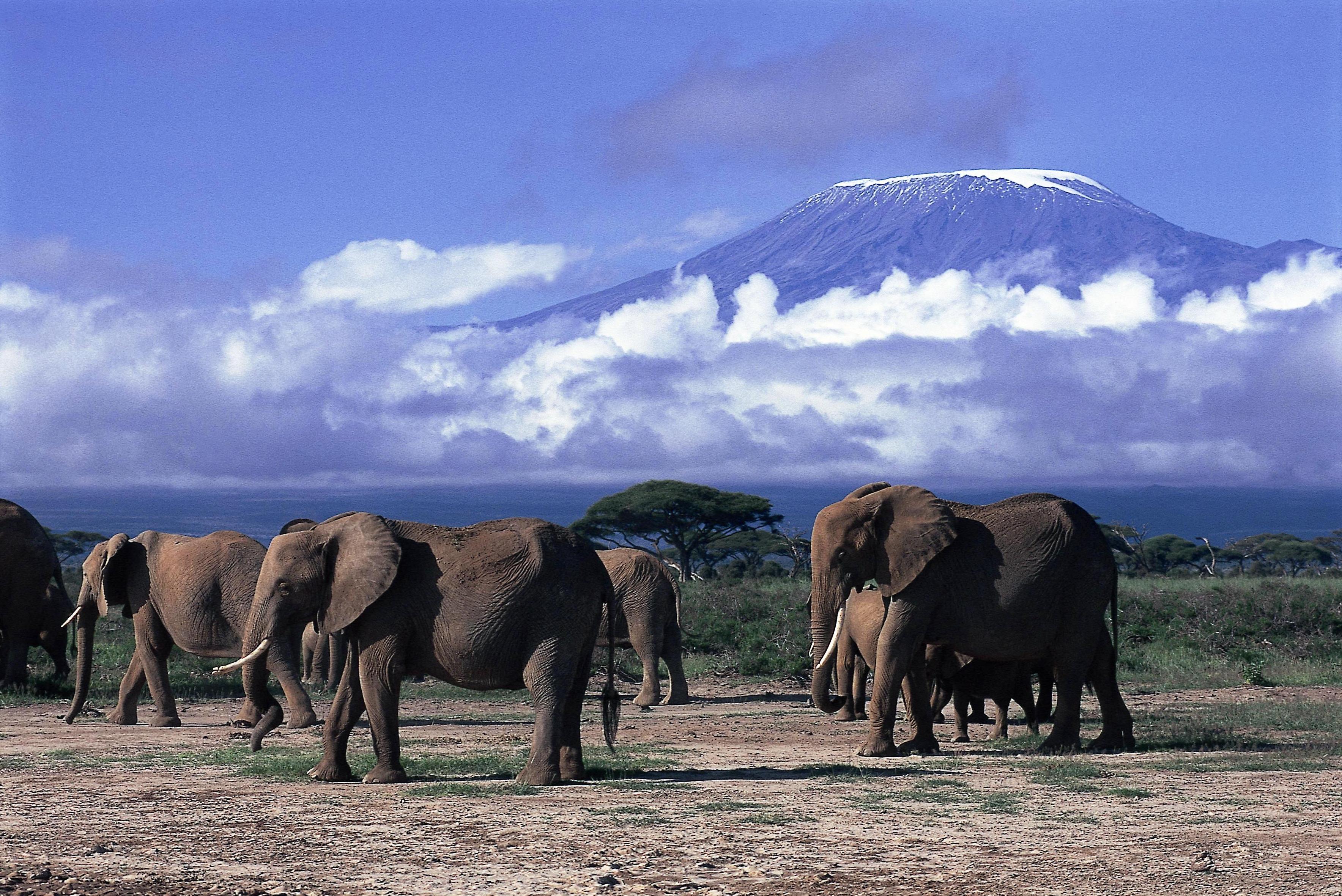 Explorations du Kenya 10J/07N - 2020