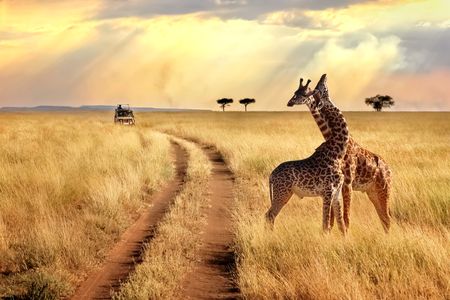 Merveilles du Kenya 10J/7N - 2020