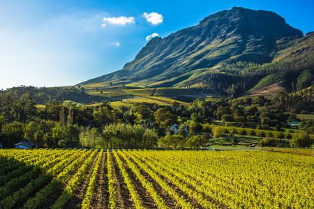 Splendeurs d'Afrique du sud & extension Chutes Victoria 14J/11N - 2021