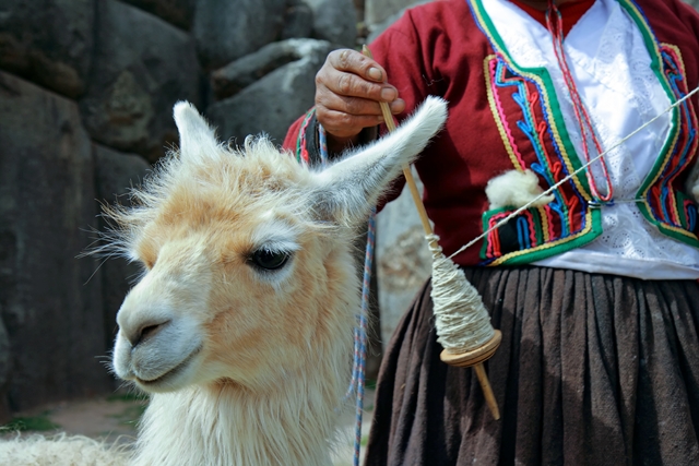 Splendeurs du Pérou & Extension Amazonie - Spécial Fête « Inti Raymi » 15J/13N - 2021
