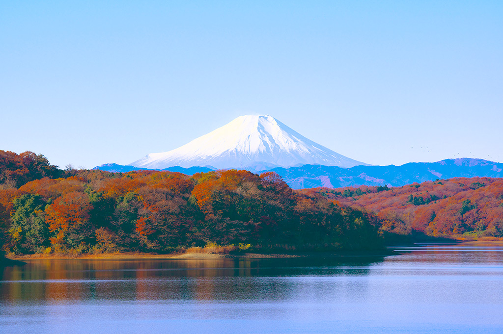 Les Immanquables du Japon