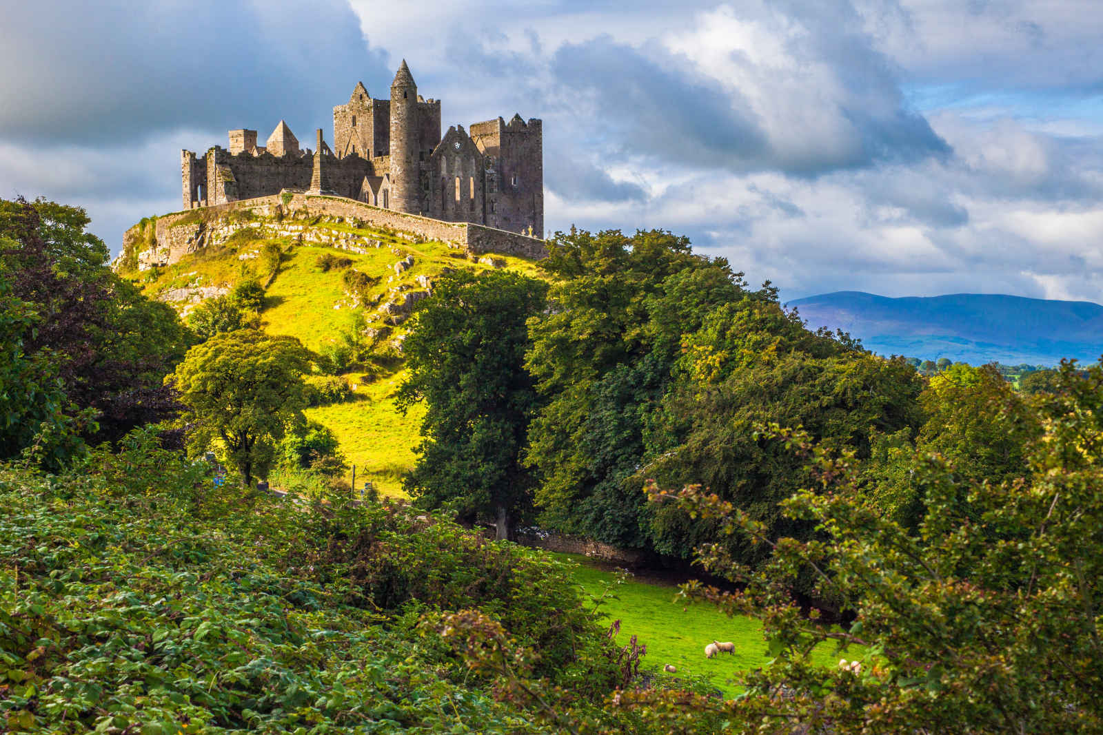 Irlande, terre de traditions