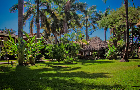 Circuit Costa Rica - Beautés du Costa Rica et Extension Tamarindo ***/****