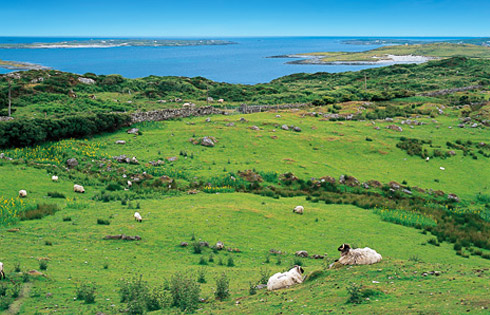 Circuit Irlande - Trésors d'Irlande ***