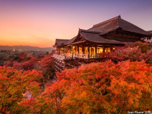 Circuit Merveilles du Japon + Extension Hiroshima ***