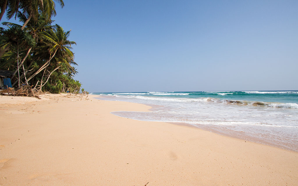 Plages De L'est Et Kandy
