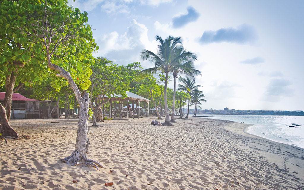 Residence Tropicale