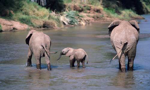 1ERS REGARDS TANZANIE