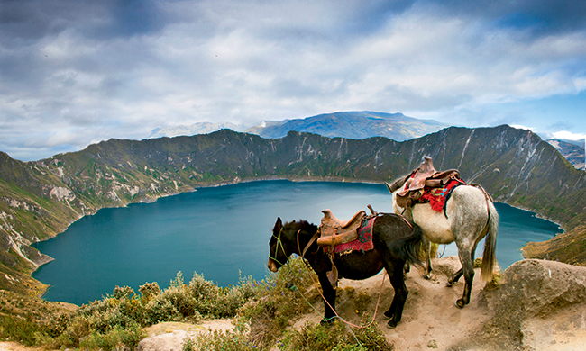 INDISPENSABLE EQUATEUR RDV SUR PLACE