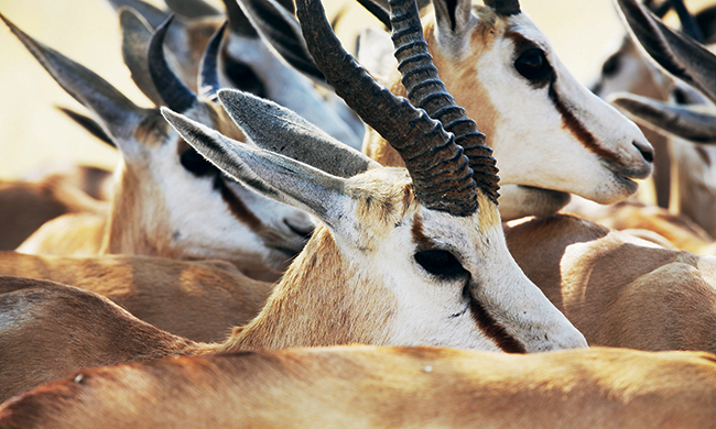 1ERS REGARDS NAMIBIE