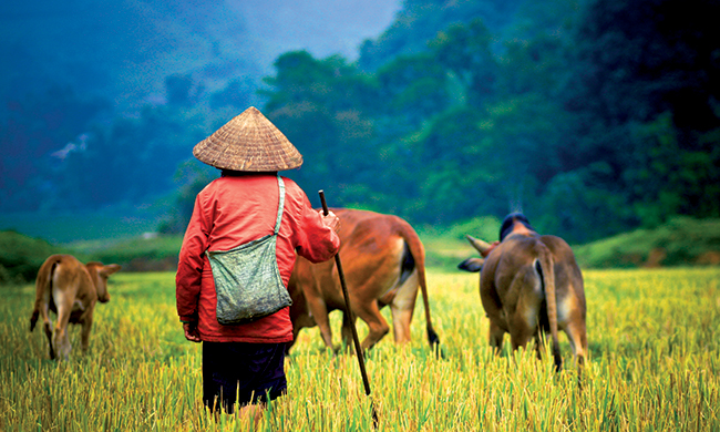 1ERS REGARDS VIETNAM