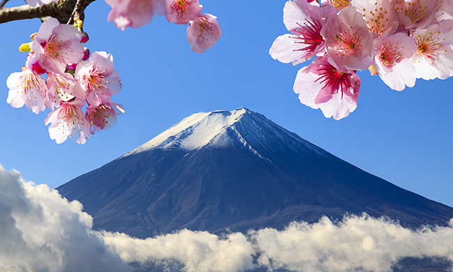 1ERS REGARDS JAPON