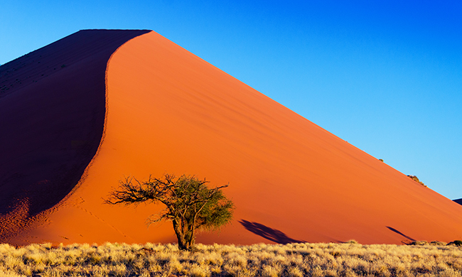 Autotour DUNES & DÉSERTS DE NAMIBIE