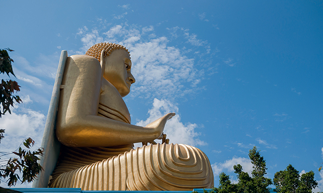 INDISPENSABLE SRI LANKA CHAMBRES SUPERIEURES + PLAGE Rdv sur place