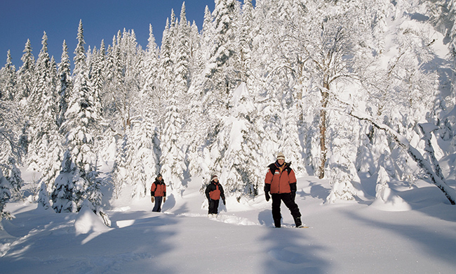 INDISPENSABLE CANADA HIVER