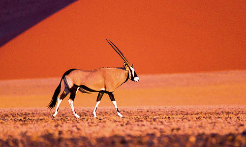 1ER REGARD NAMIBIE