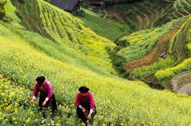 Chine Intimiste