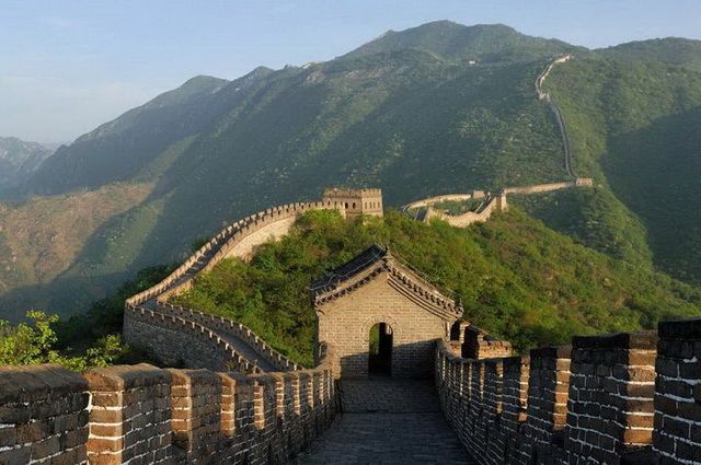 Dragons de Chine
