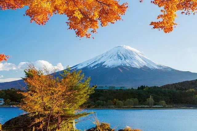Samourais et Jardins zen - Japon