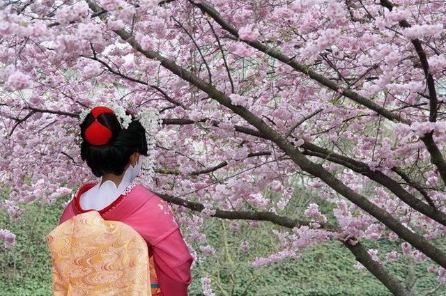 JAPON ESSENTIEL