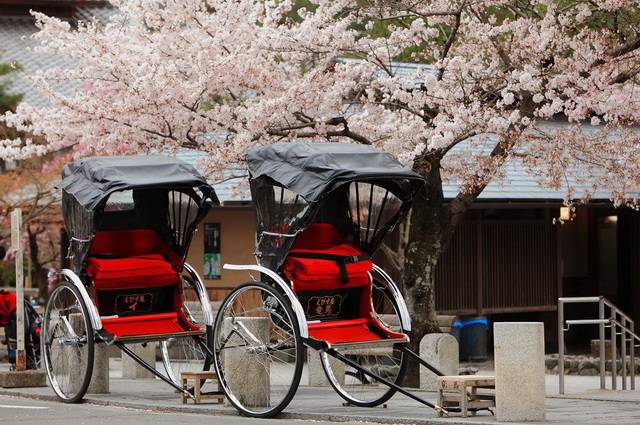 Samourais et Jardins zen avec Air France + Alpes japonaises - Japon