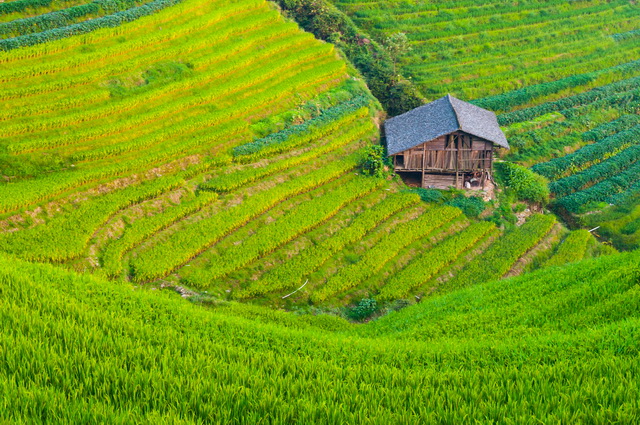 Chine Intimiste