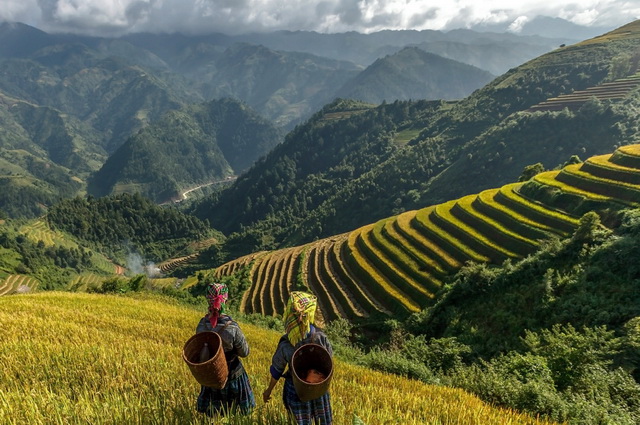Aventure Tonkinoise - Vietnam