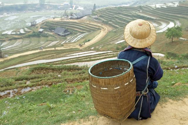 Vietnam Essentiel + prologue Sapa