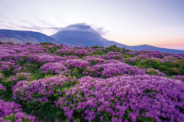Le Royaume du Matin Calme + Ile de Jeju - Corée du Sud