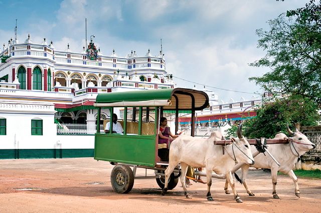 Au cœur de l'Inde du Sud + extension Chettinad