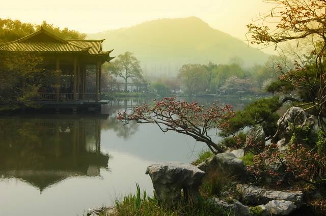 Dragons de Chine + Extension Suzhou