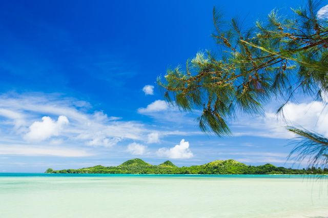 Circuit Privé Le Japon en liberté + séjour Okinawa 4*