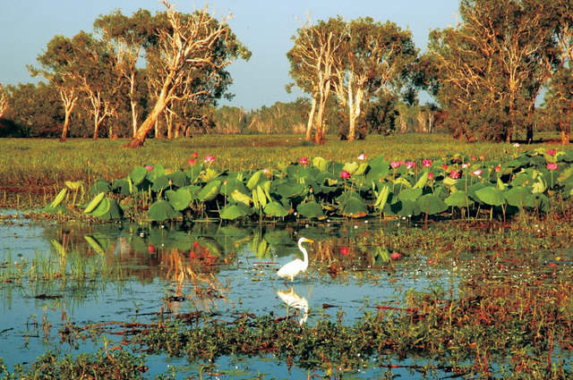 Trésors d'Australie