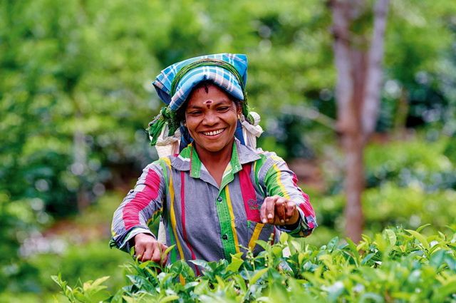 Ceylan Bonheur - Sri Lanka