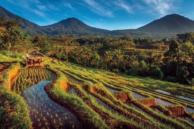 Pass pour Bali 4*