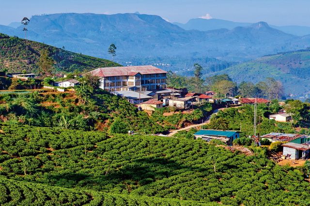 Ceylan Essentiel - Sri Lanka
