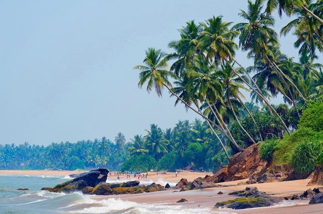 Ceylan Essentiel + séjour Sri Lanka 3*