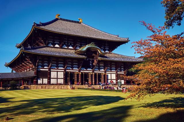 De Séoul à Tokyo - Corée du Sud, Japon
