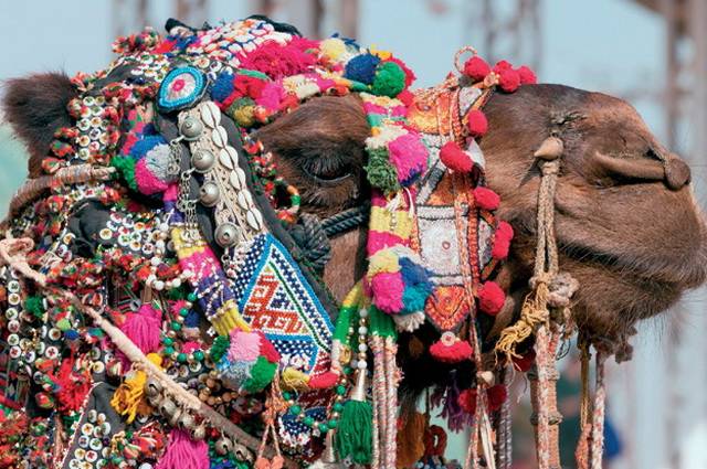 Saris et Saddhus, Foire de Pushkar - Inde, Rajasthan, Gange