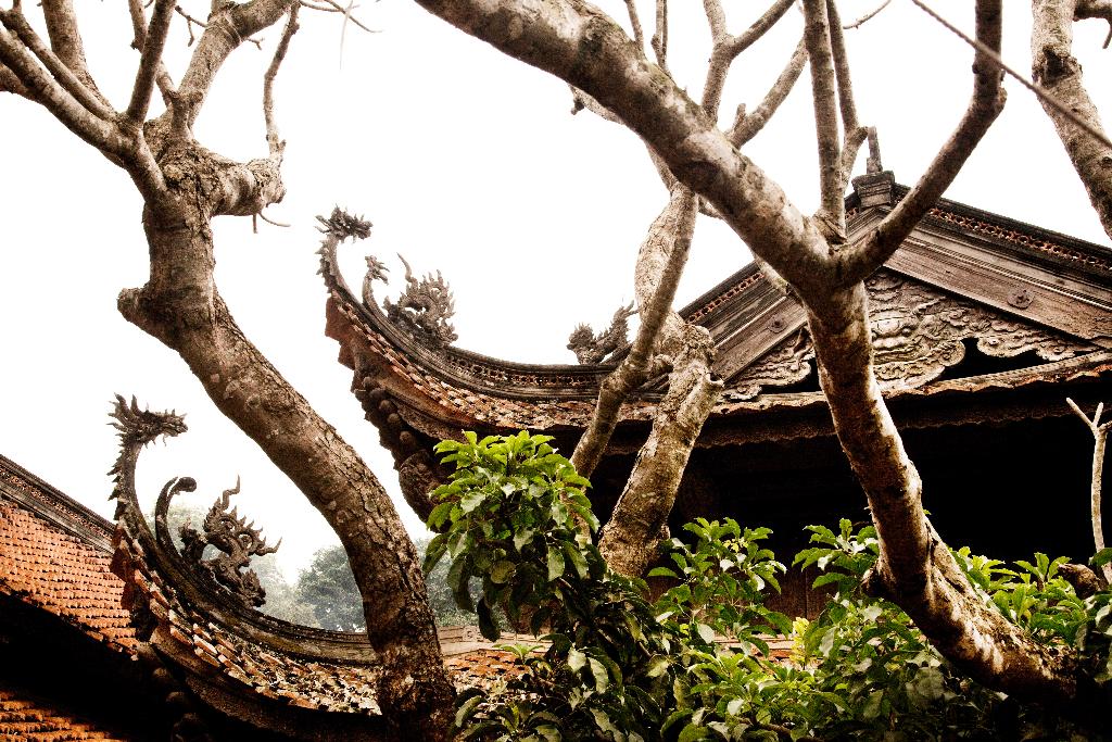 L' Essentiel du Vietnam - extension au Cambodge, à Angkor